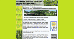 Desktop Screenshot of bettawan.com